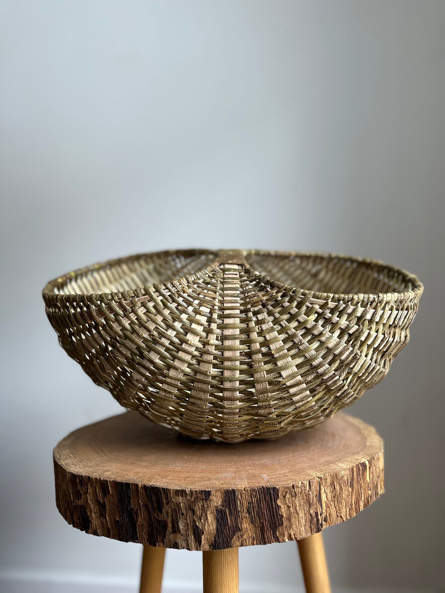 Harvest Moon — White Oak + Skeined Willow