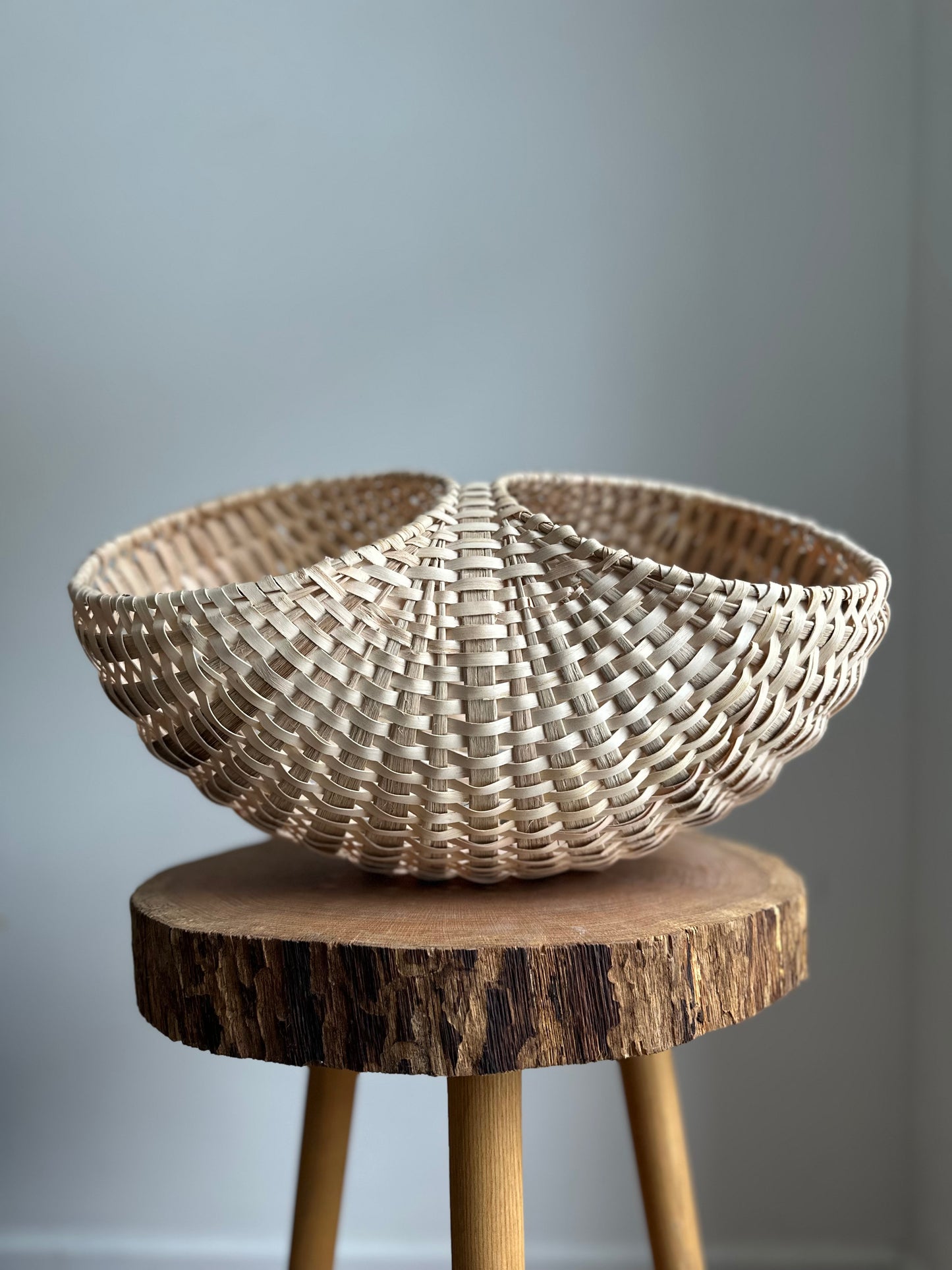 Harvest Moon — White Oak + Ash