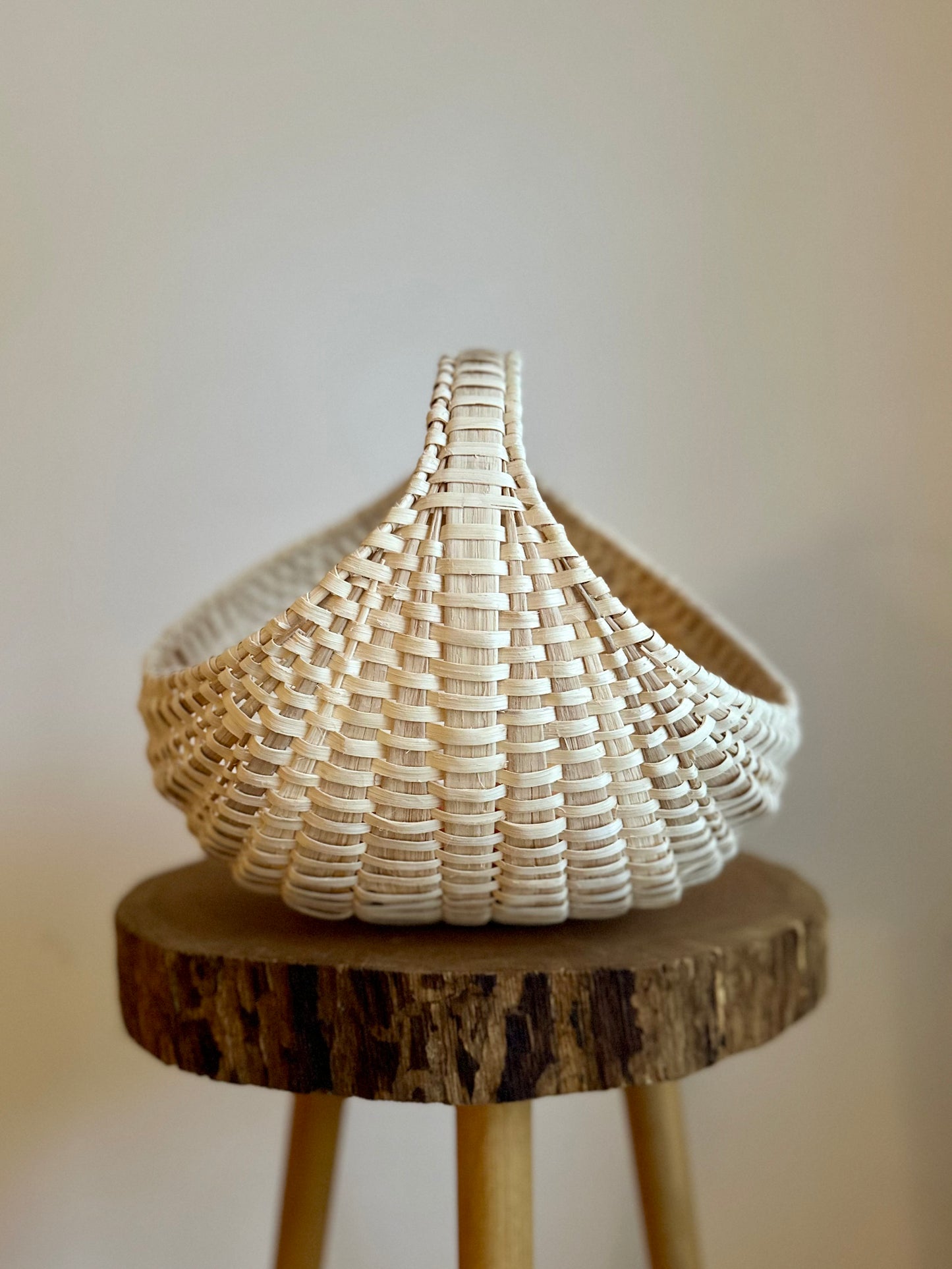 100% White Oak Ginkgo