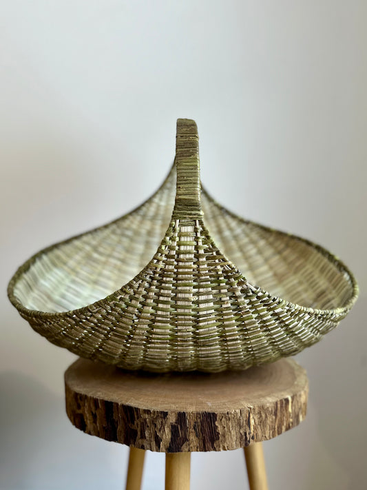 Gathering Ginkgo