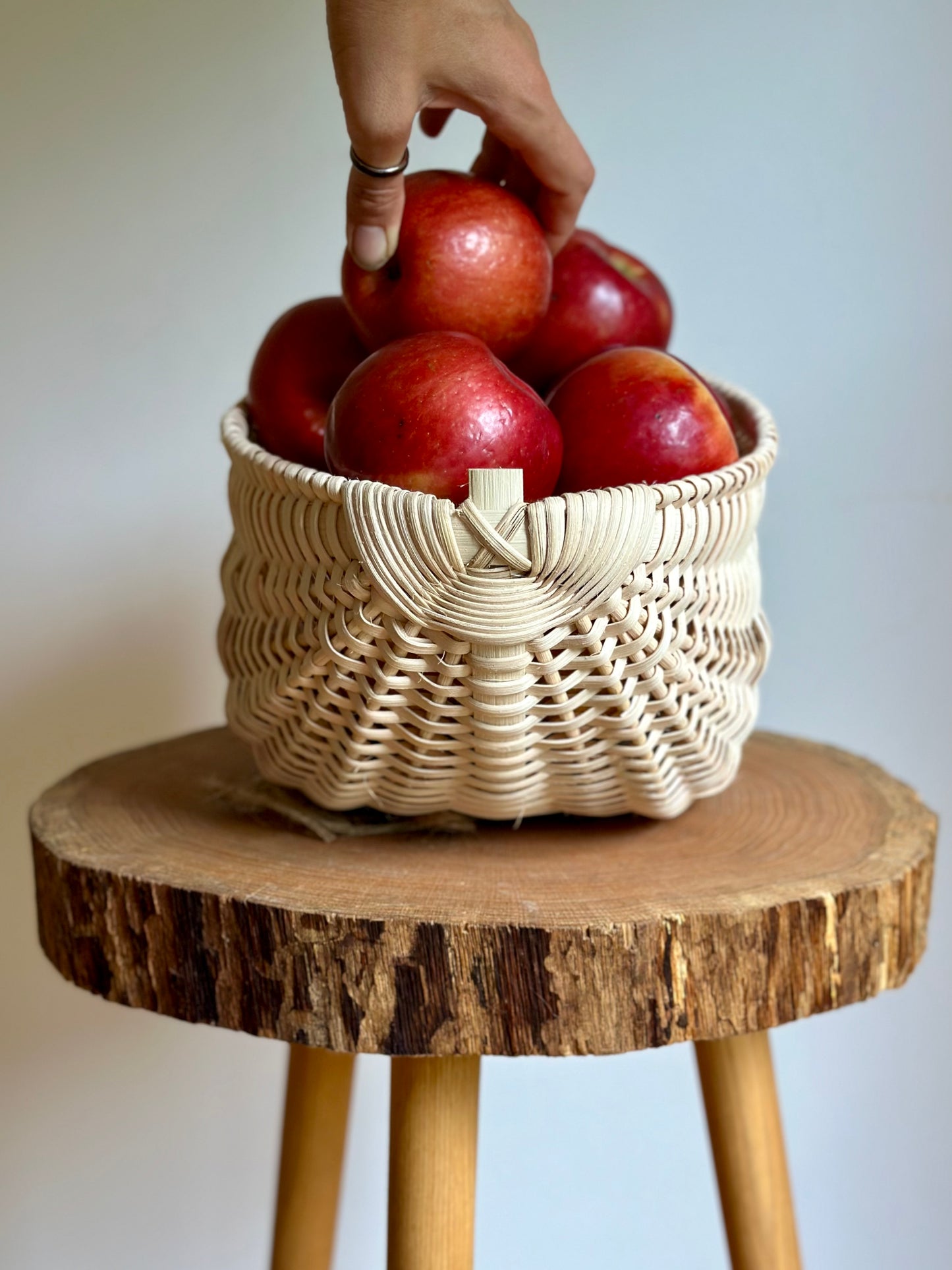 Fall Bounty Basket :: CLASS 11/16/24