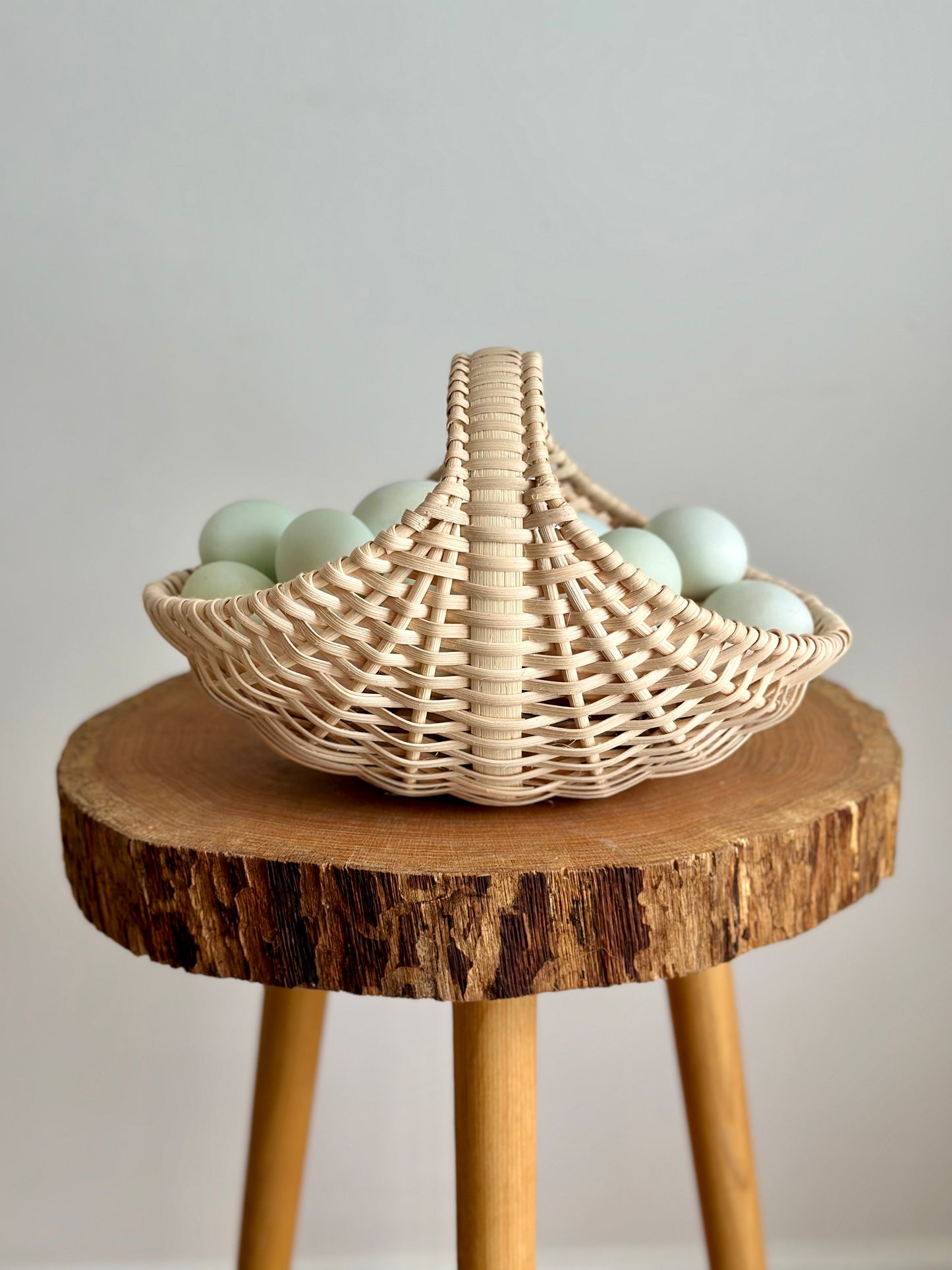 The Ginkgo — Reed Basketry Kit