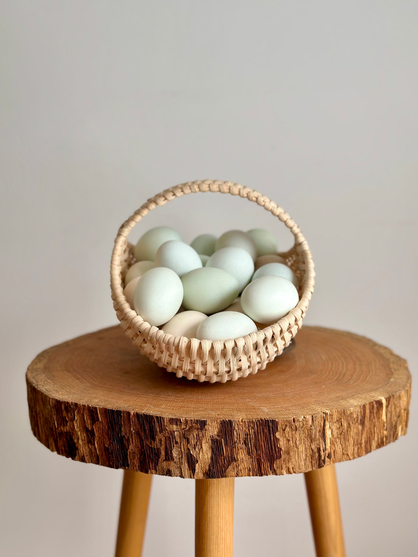 The Ginkgo — Reed Basketry Kit