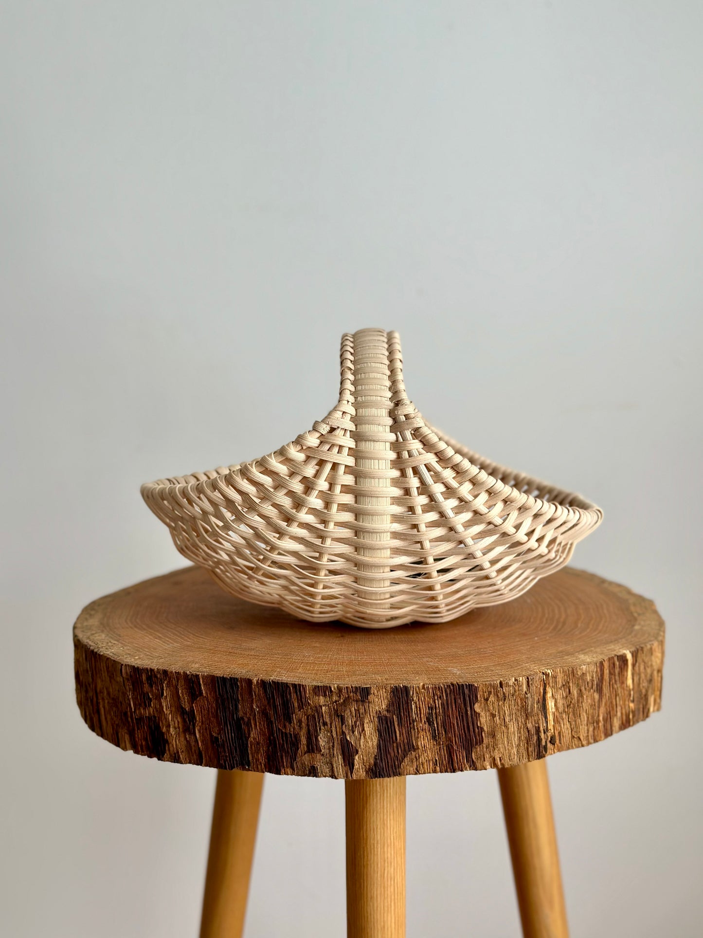 The Ginkgo — Reed Basketry Kit