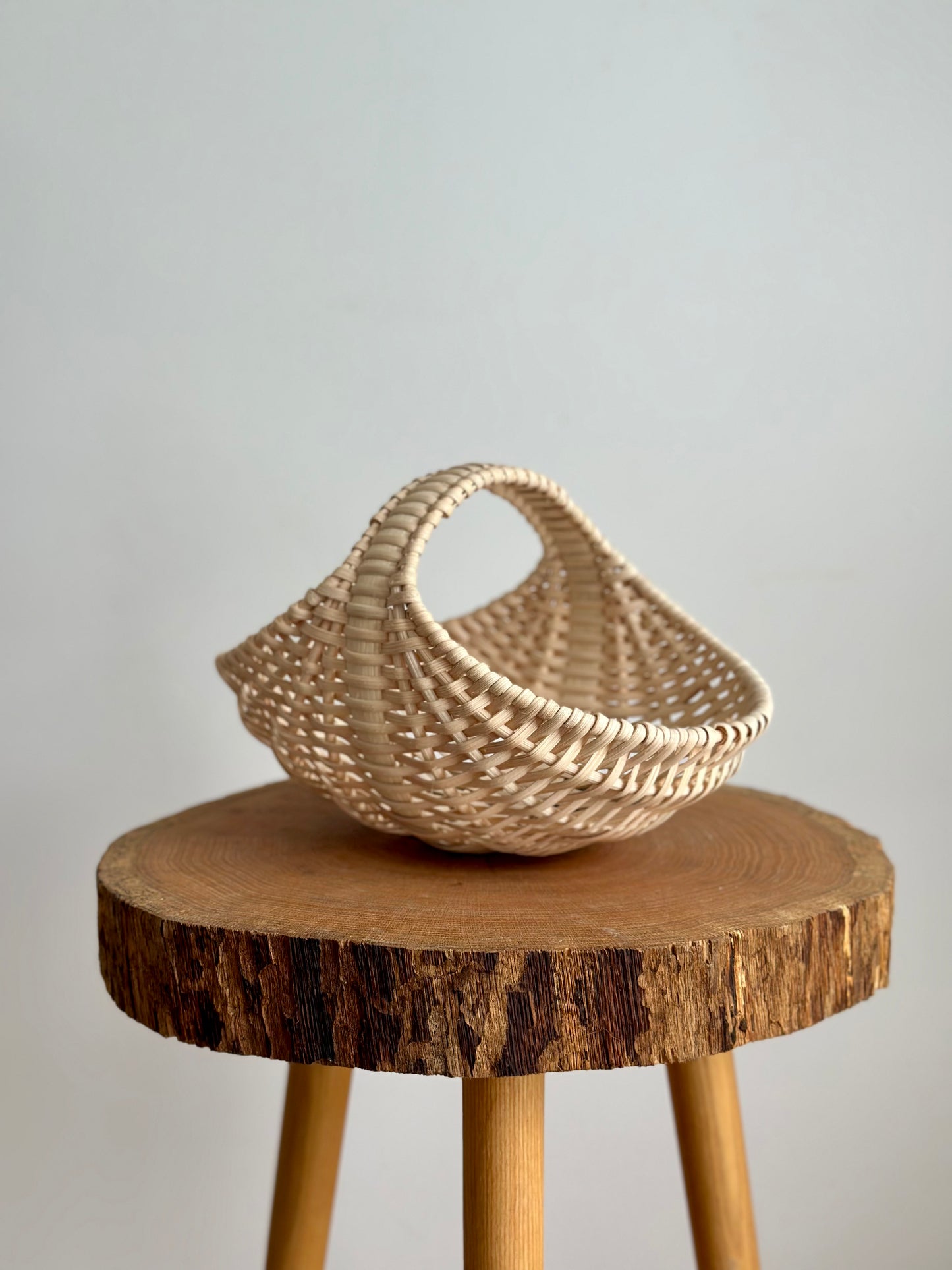 The Ginkgo — Reed Basketry Kit