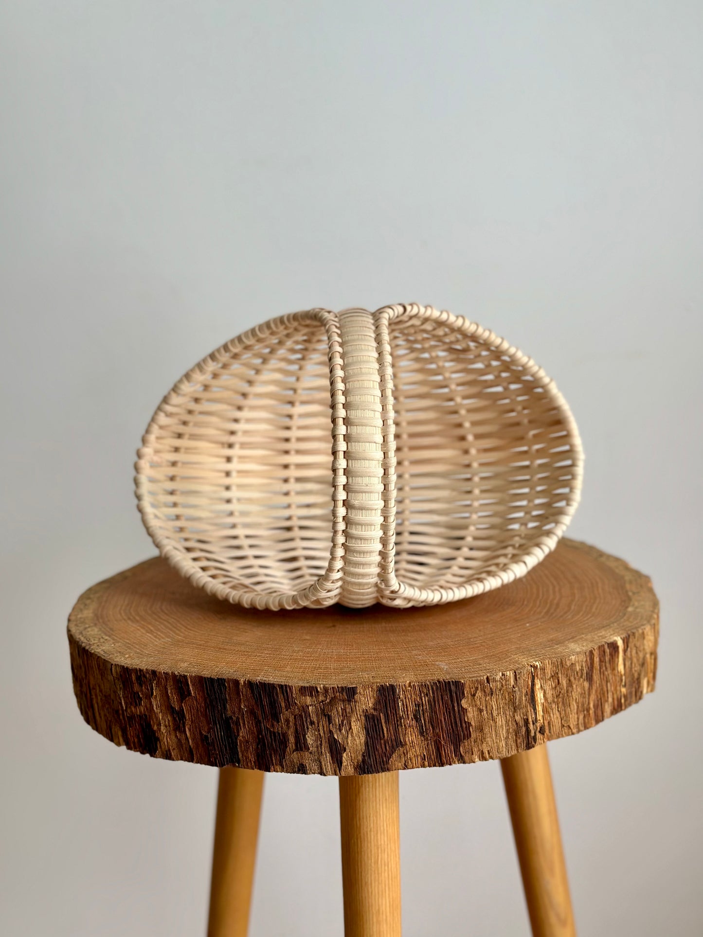 The Ginkgo — Reed Basketry Kit